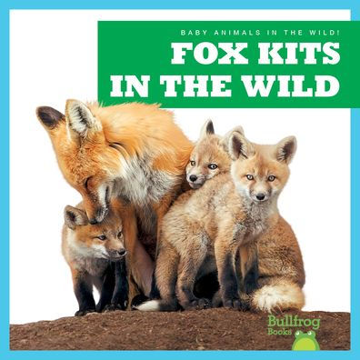 Fox Kits the Wild