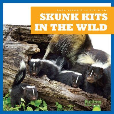 Skunk Kits the Wild