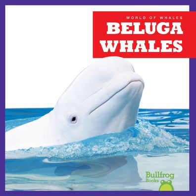 Beluga Whales