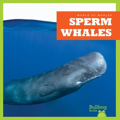 Sperm Whales