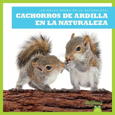 Cachorros de Ardilla En La Naturaleza (Squirrel Kits in the Wild)