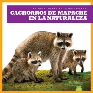 Title: Cachorros de Mapache En La Naturaleza (Raccoon Cubs in the Wild), Author: Katie Chanez