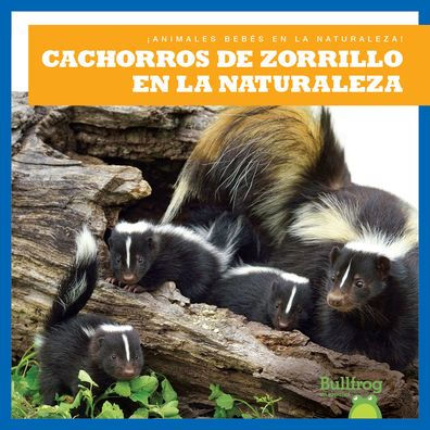 Cachorros de Zorrillo En La Naturaleza (Skunk Kits in the Wild)