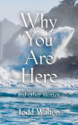 Why You Are Here: and other stories