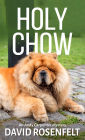 Holy Chow (Andy Carpenter Series #25)
