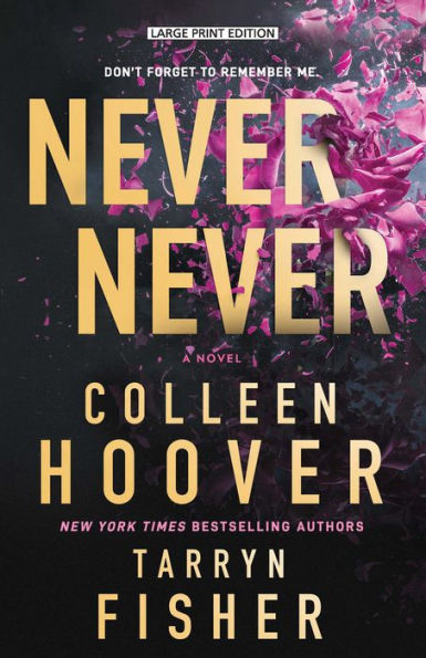 Never Never: A Novel