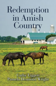 Title: Redemption in Amish Country, Author: Cathy Liggett