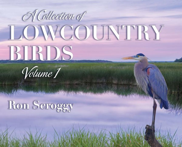 A Collection of Lowcountry Birds
