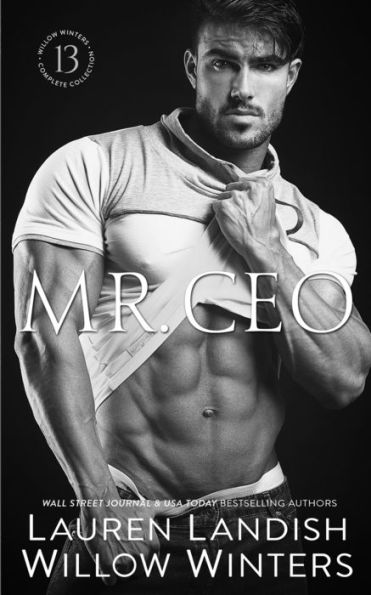 Mr. CEO (The Sexy Series)