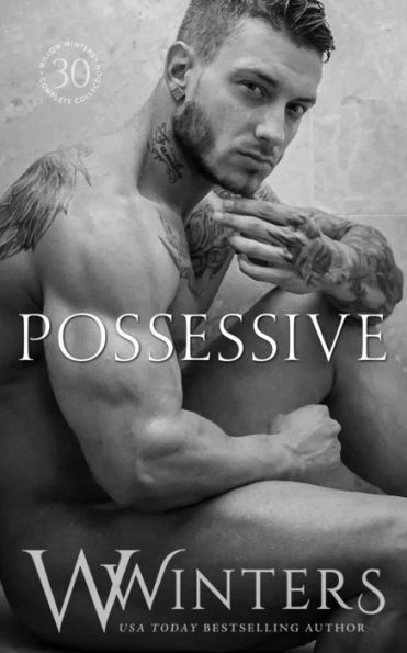 Possessive (The Sexy Series)