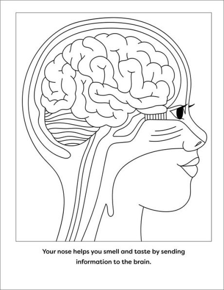 Human Anatomy Coloring Book with Facts: 35+ Coloring Activities with Facts about the Human Body