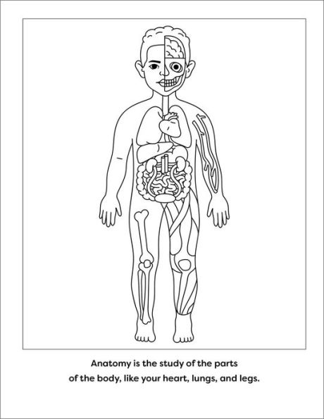 Human Anatomy Coloring Book with Facts: 35+ Coloring Activities with Facts about the Human Body