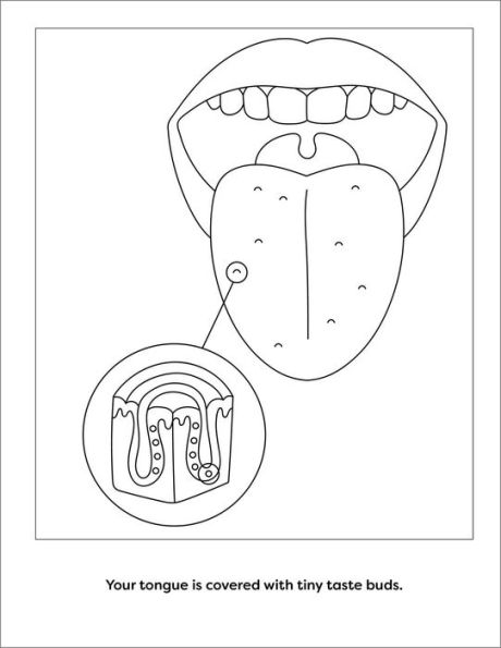 Human Anatomy Coloring Book with Facts: 35+ Coloring Activities with Facts about the Human Body