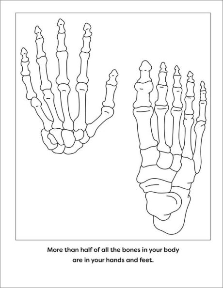 Human Anatomy Coloring Book with Facts: 35+ Coloring Activities with Facts about the Human Body