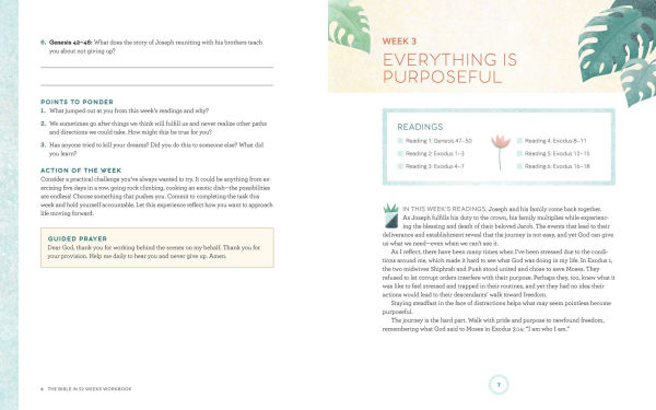 The Bible 52 Weeks Workbook: A Yearlong Study for Women