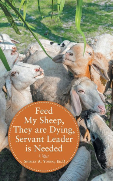 Feed My Sheep, They Are Dying, Servant Leader Is Needed