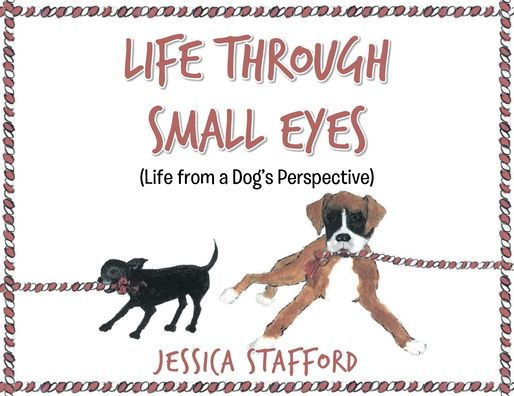 Through Small Eyes: (Life from a Dog's Perspective)