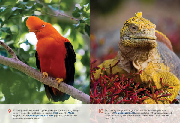 Moon Ecuador & the Galápagos Islands: Outdoor Adventure, Indigenous Culture, Sustainable Travel