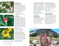 Alternative view 3 of Moon Best of Yosemite: Make the Most of One to Three Days in the Park