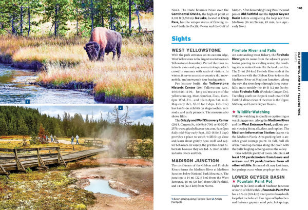 Moon Yellowstone & Grand Teton: Hiking, Camping, Wildlife