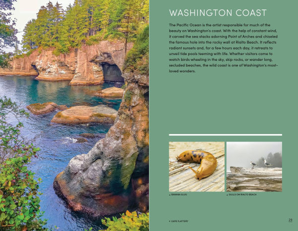 Moon Pacific Northwest Hiking: Best Hikes Plus Beer, Bites, and Campgrounds Nearby