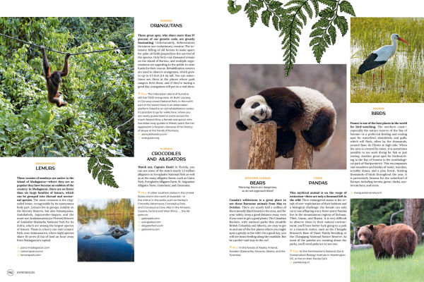 Wanderlust: A Traveler's Guide to the Globe