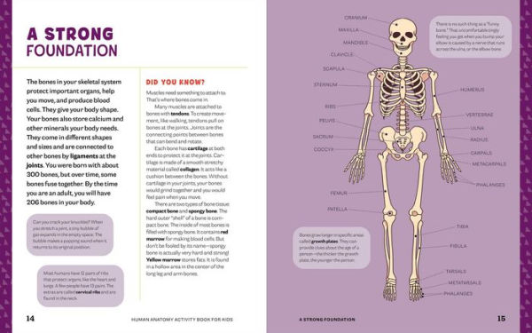 Human Anatomy Activity Book for Kids: Hands-on Learning for Grades 4-6