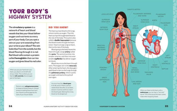 Human Anatomy Activity Book for Kids: Hands-on Learning for Grades 4-6