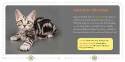 Alternative view 4 of My First Book of Cats: All About Furry Felines for Kids