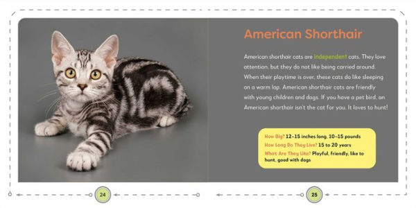 My First Book of Cats: All About Furry Felines for Kids
