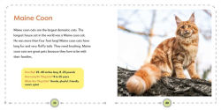 Alternative view 6 of My First Book of Cats: All About Furry Felines for Kids