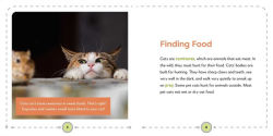 Alternative view 7 of My First Book of Cats: All About Furry Felines for Kids