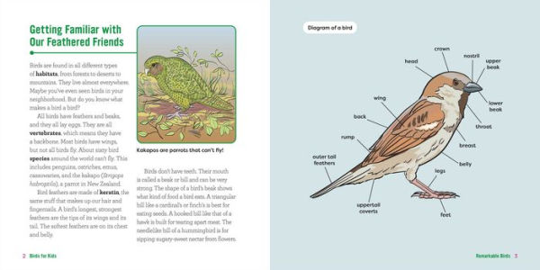 Birds for Kids: A Junior Scientist's Guide to Owls, Eagles, Penguins, and Other Bird Species
