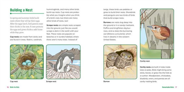 Birds for Kids: A Junior Scientist's Guide to Owls, Eagles, Penguins, and Other Bird Species