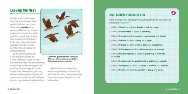 Birds for Kids: A Junior Scientist's Guide to Owls, Eagles, Penguins, and Other Bird Species