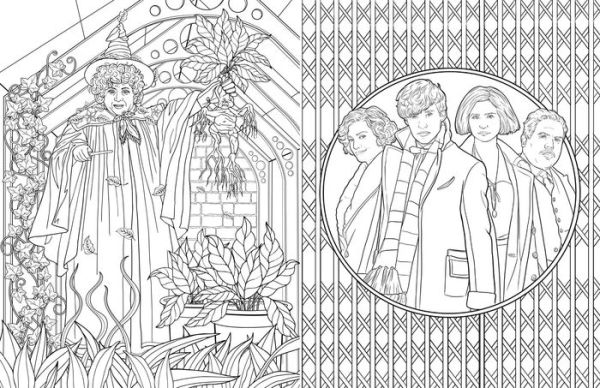 Harry Potter House Pride: Official Coloring Book Boxed Set