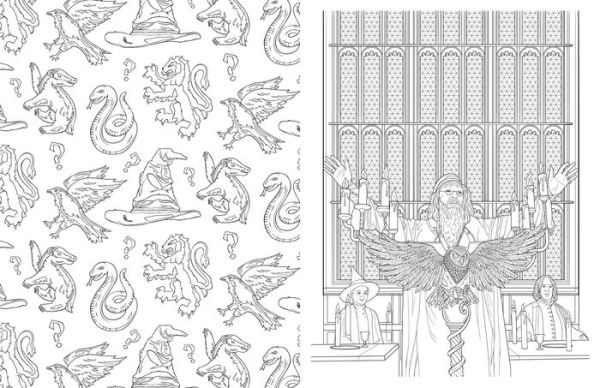 EXCLUSIVE look at new Harry Potter colouring book from Insight