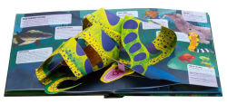 Alternative view 5 of Paws, Claws, and Snapping Jaws Pop-Up Book (Reinhart Pop-Up Studio): A Rainforest Predators Pop-Up