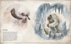 Alternative view 3 of Star Wars Bestiary, Vol. 1: Creatures of the Galaxy