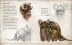 Alternative view 9 of Star Wars Bestiary, Vol. 1: Creatures of the Galaxy