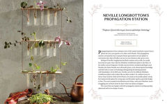 Alternative view 11 of Harry Potter: Herbology Magic: Botanical Projects, Terrariums, and Gardens Inspired by the Wizarding World