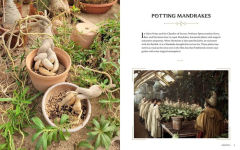 Alternative view 2 of Harry Potter: Herbology Magic: Botanical Projects, Terrariums, and Gardens Inspired by the Wizarding World