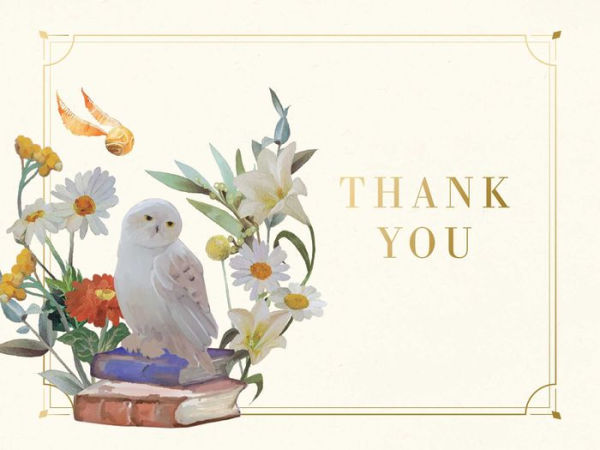 Harry Potter: Magical World Thank You Boxed Cards (Set of 30)