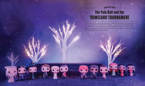 The World of Funko: Harry Potter: Includes Collectible Harry Potter Bitty Pop!