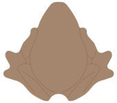 Alternative view 3 of Harry Potter: Chocolate Frog Sticky Notepad