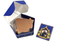 Alternative view 8 of Harry Potter: Chocolate Frog Sticky Notepad