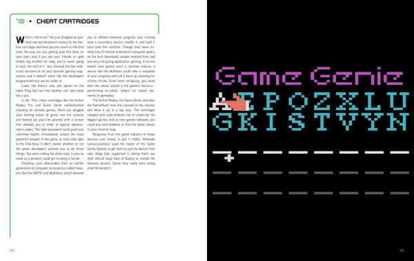 Video Games in 100 Objects