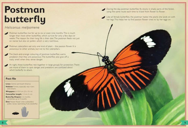 The Magnificent Book of Butterflies and Moths