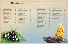 Alternative view 10 of The Magnificent Book of Butterflies and Moths