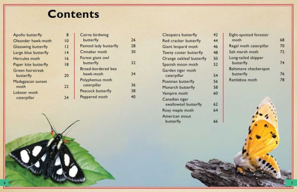 The Magnificent Book of Butterflies and Moths